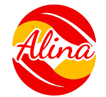 Alina – WordPress Web Design and SEO Services